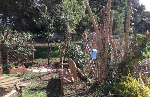 Beach house à Marina di Sorbo …Corse - Foto 12