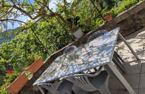 Au bord du Tarn - Photo 19