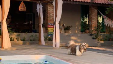 Amaro Residence - Foto 1