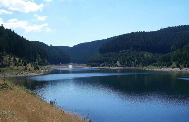 Apartment With Forest in Goldisthal Thuringia - Foto 40