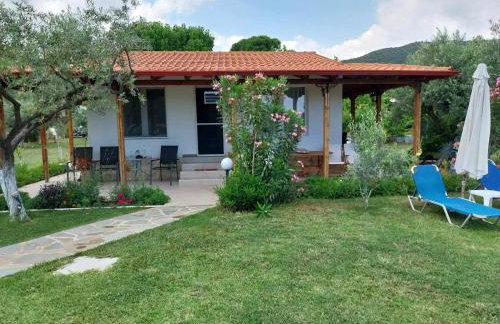 Bill & Eva's precious jewel - Photo 42