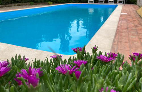 Sunset Hill - Tuscany - Villa & private Pool - Foto 30