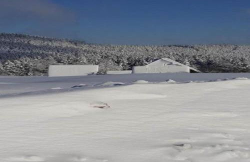 Charming Apartment, Harz Region - Foto 68