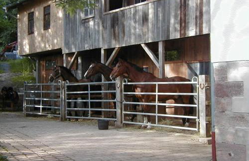 Ferienwohnung in den Dorfwiesen - Foto 22