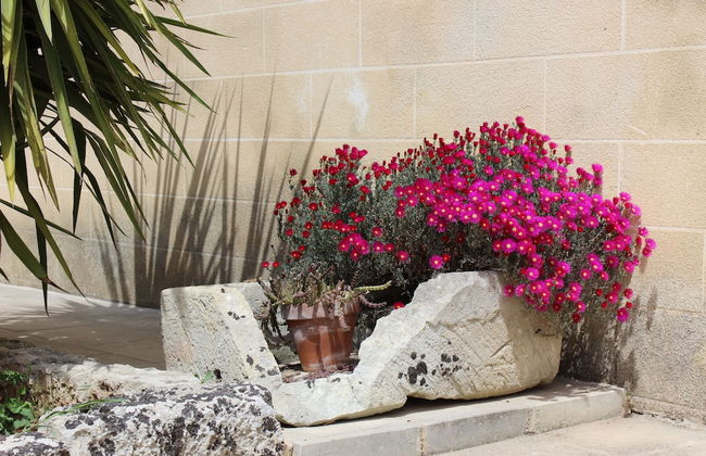 Masseria Pagani - Photo 63