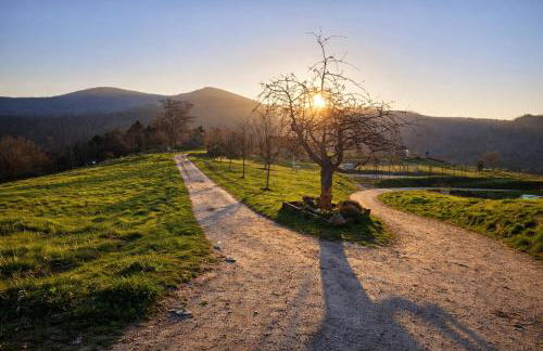 Ferienwohnung Panoramablick Bermersbach - Foto 32