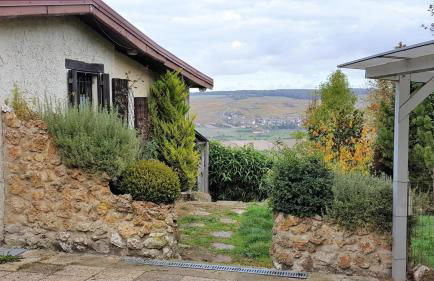 Le Coq De Champagne - Foto 11