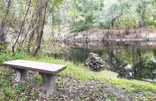 River Daze Cabin - A cozy cabin right on the river - Foto 7