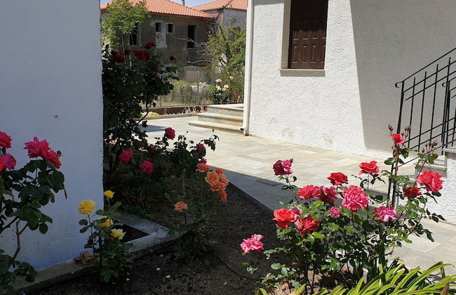 Zmas Studios - Foto 38