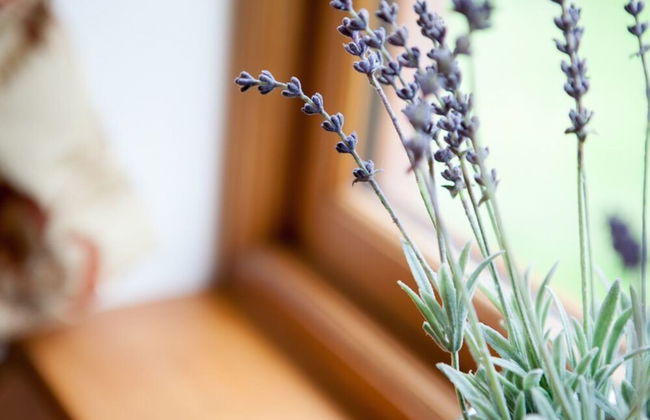 Heads Nook Hall Cottage - Foto 30