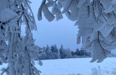 Vista - Domek Wakacyjny w Górach Sowich - Foto 44