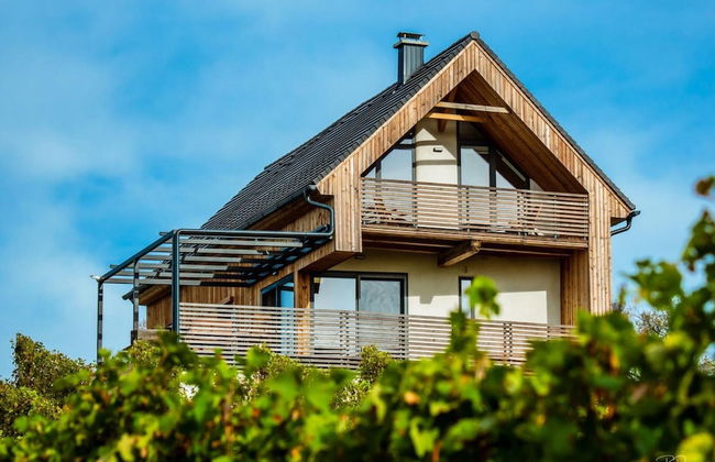 Vineyard Eco House Vukan - Photo 20