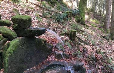 Maison pittoresque à Sainte-Croix-aux-Mines, vue sur la montagne - Foto 79