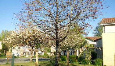 Les Clés Nature - Foto 3