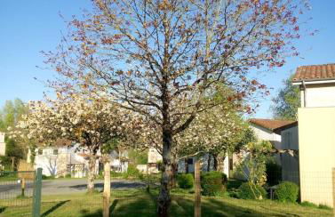 Les Clés Nature - Foto 3