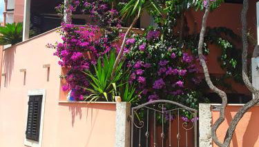 Apartments Nina & Kate - Foto 2