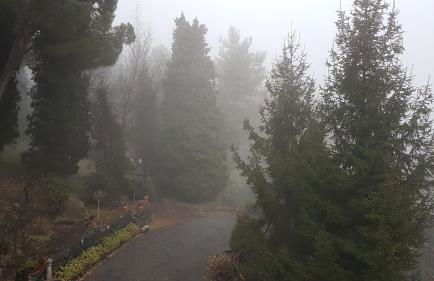 Feudo Algerazzi - Foto 46