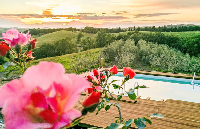 2 bedroom Apartment in Certaldo with swimming pool and garden - Photo 3