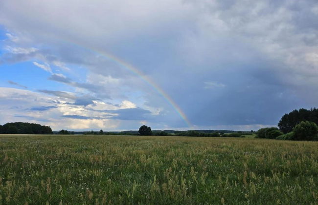 Countryside Escape With Sauna - Foto 31