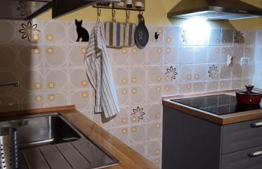 Ilgattonero - Foto 7