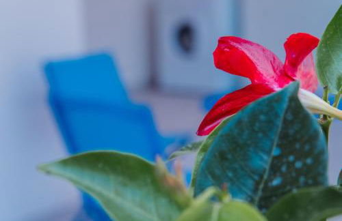 Maison Matilda 1 - Foto 24