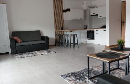 Wczasy Chmielno Apartament PUDROWY - Foto 33