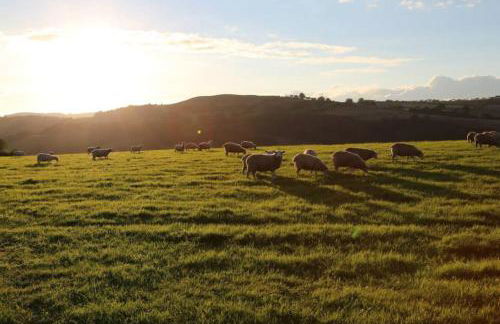 Central Barmouth Town House - Near Beach - Sleeps up to 16! - Foto 24