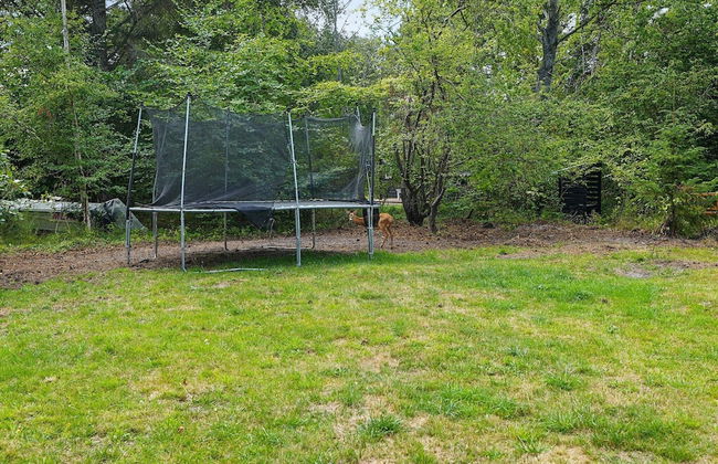 7 Person Holiday Home in Sjaellands Odde - Foto 20