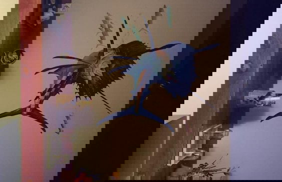 Villa Nosy Détente - Foto 37