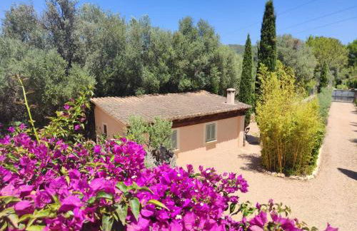 Agroturismo Son Bauzanet - Foto 30