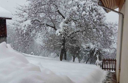 Chalet montagne Savoie Domaine Skiable Valmorel - Foto 11