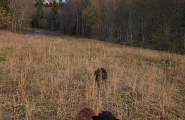 Le Cocon de Plainpalais - Foto 9