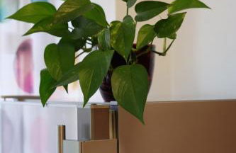 Ferienwohnung Der Gerber - Foto 75