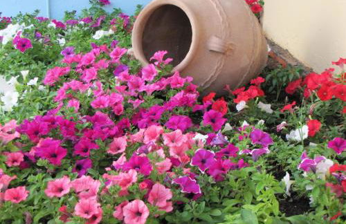 Futura Hotel - Foto 50