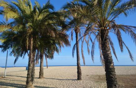 Villa Antonia - Photo 6