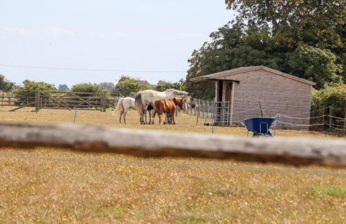 Baa Lamb Cottage - Photo 43