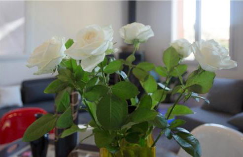 Appartement Pinede Man Yelle - Foto 23