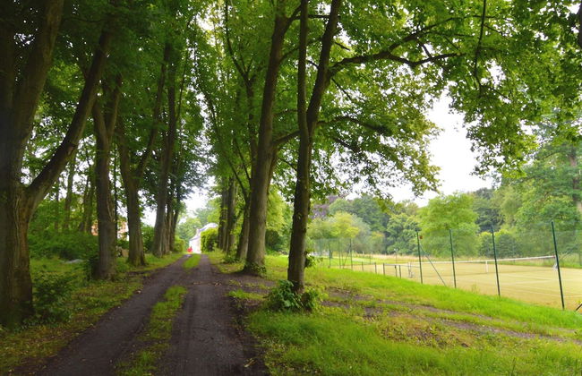 Forestview Family Home - Foto 26