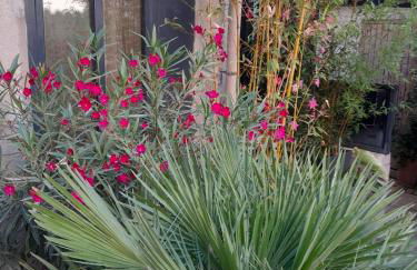 Le Clos du rouet - Foto 9