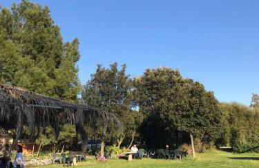 Agriturismo Su Niu - Foto 7