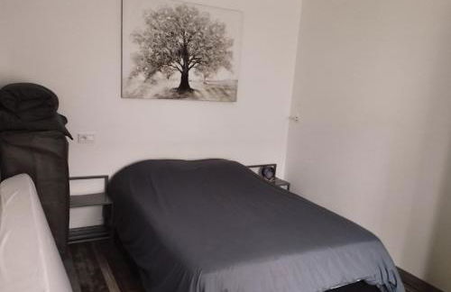 Moissac Charmant Appartement avec Jardin - Foto 16