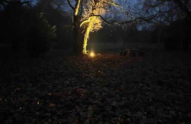 Tour du Bignon 30 beds 2 cottages 15 - Photo 15