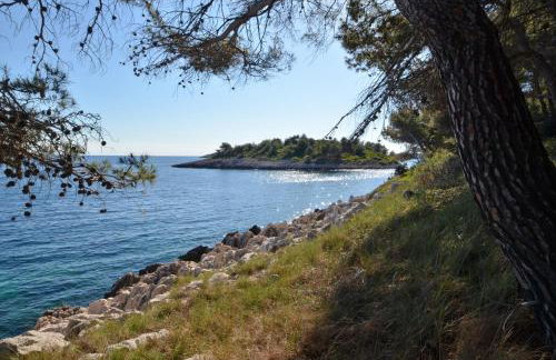 Apartments Surjan - Photo 34