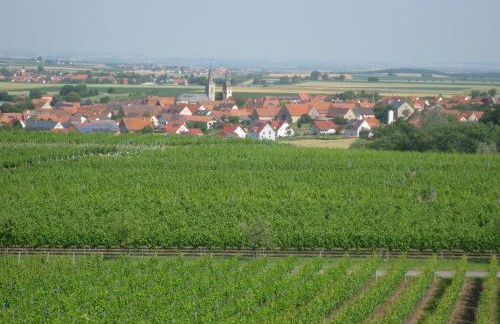 Apartments Bed & Breakfast Brückner - Foto 56