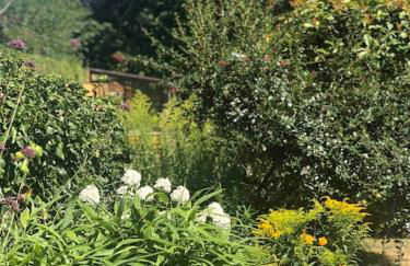 Linden Suite - Foto 32