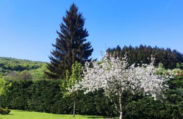 Apartamentos Goizeder - Foto 26