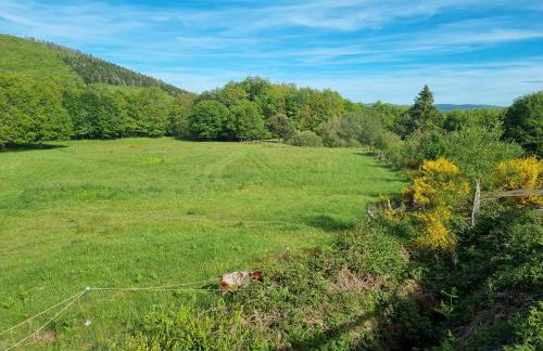 chalet au cœur des bois - Foto 11