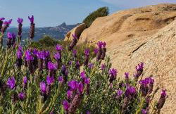 Dependance Pavoncella - Photo 48