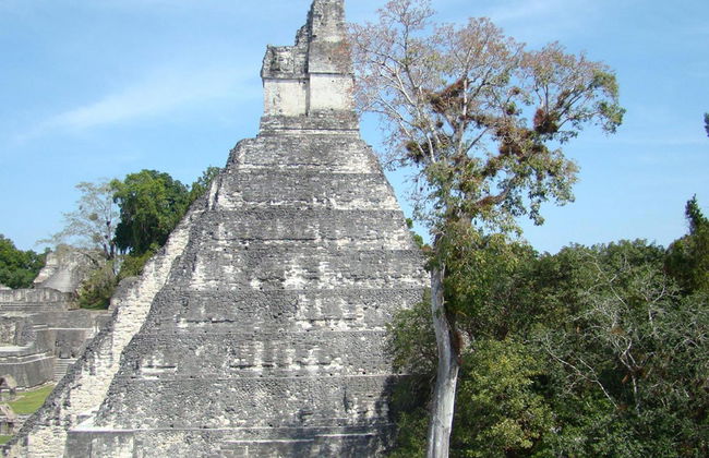 Visita ao Parque Nacional Tikal desde a cidade de Guatemala - Foto 6