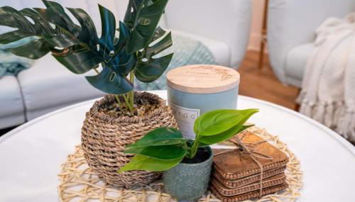 Cozy 3BR with Patio & Yard Near Ybor City - Foto 5